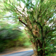 Image for article titled Motion Gallery 2